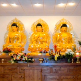 3buddhas